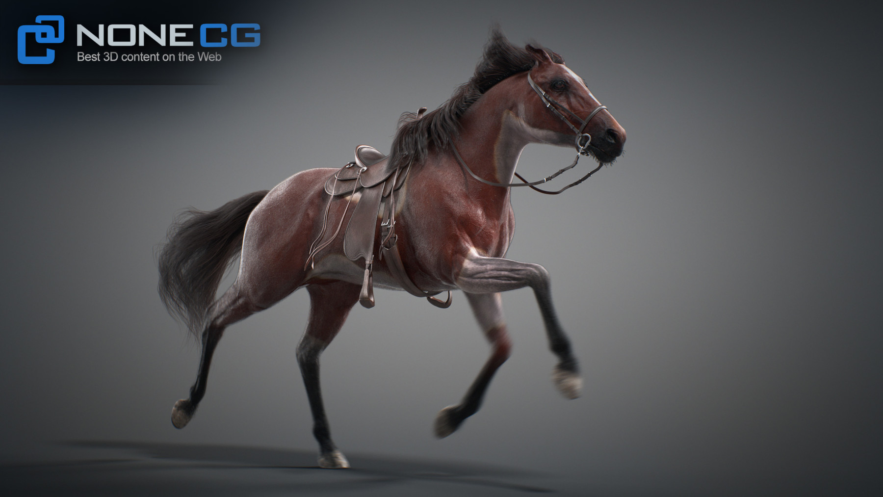 Nonecg 3d Models Horses Maya V3