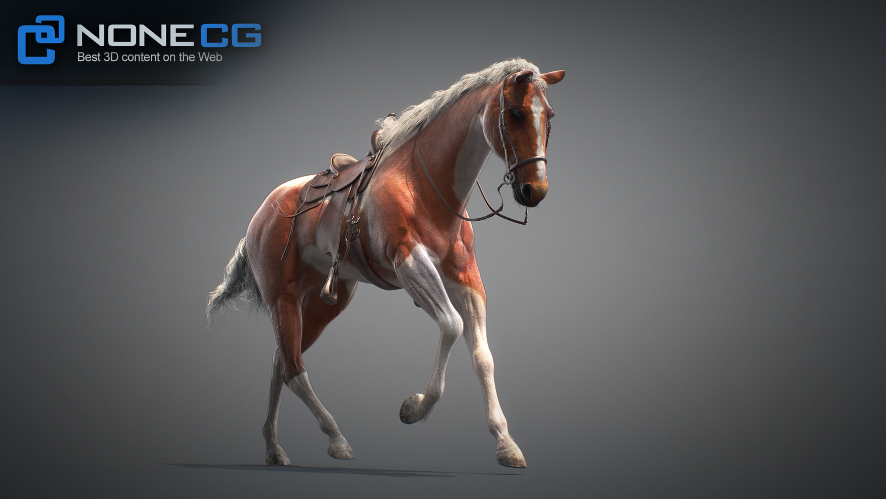 Nonecg 3d Models Horses Maya V3