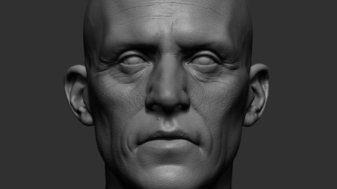 Realistic Male Head