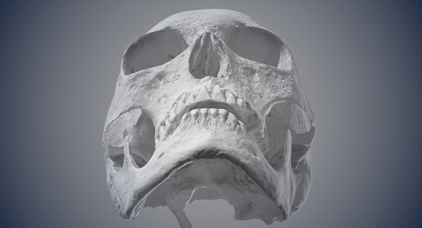 Skull 18