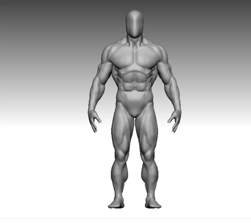 Albron muscle 3d