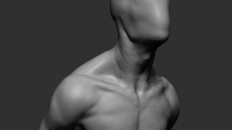 Dynamic Male Anatomy