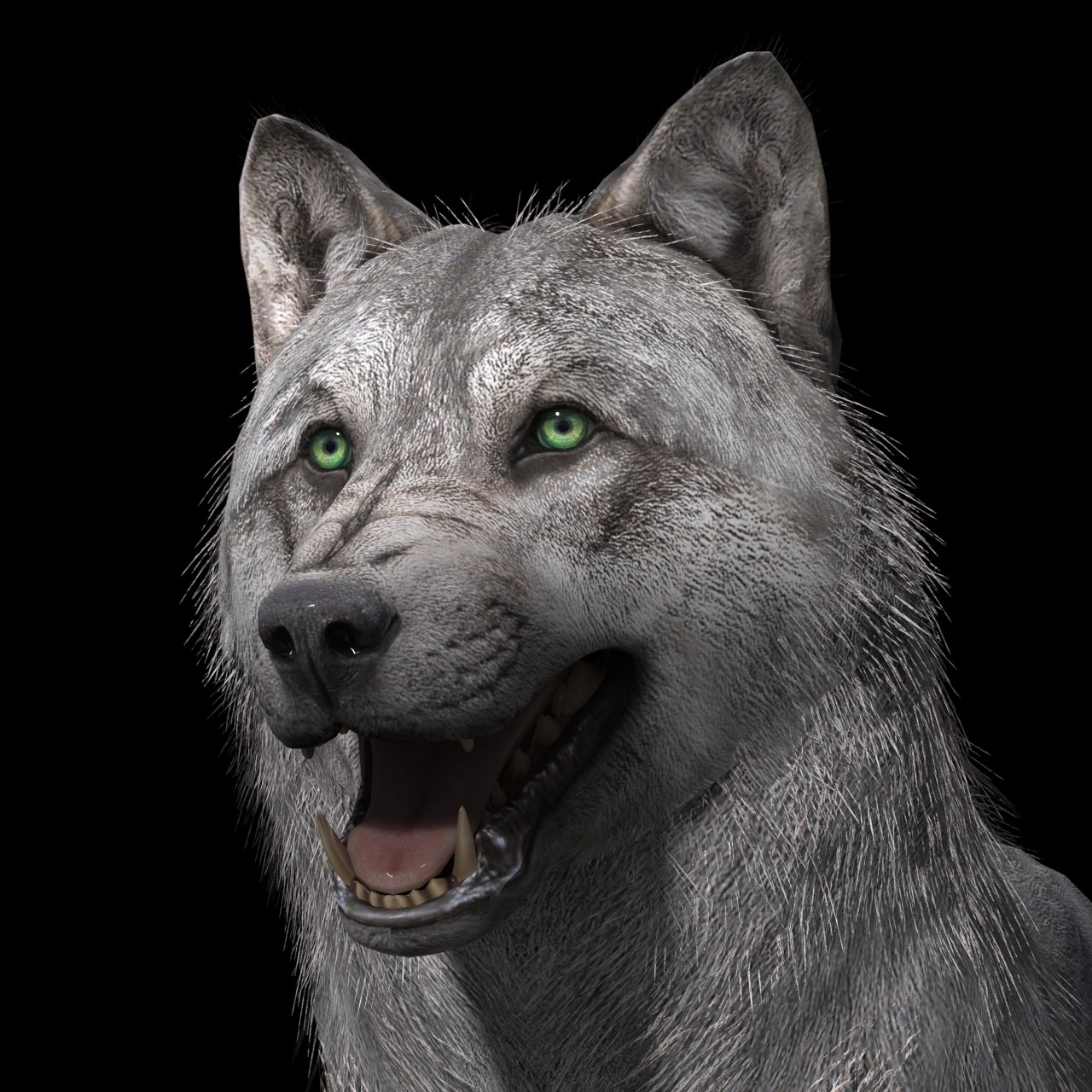 Artstation Realistic Wolf Maya Rig Resources