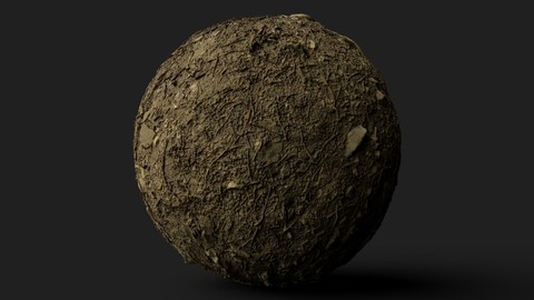 PBR Scanned Rocky Forest Ground (Var2)
