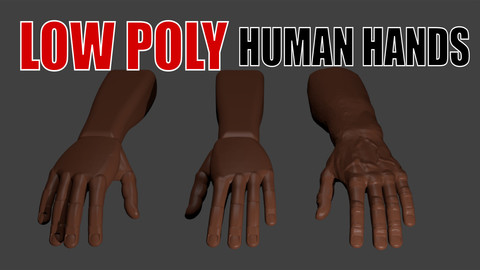 Human hands (obj.)