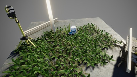 Tropical Ground Foliage