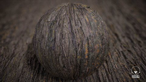 Acacia Bark - 8k Photogrammetry PBR Textures