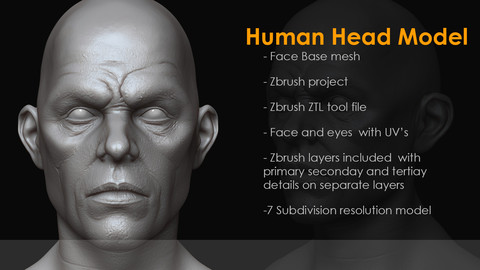 Beast _Human Head Model