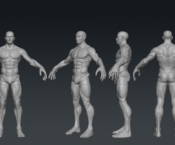 ArtStation - Male Anatomy - Production Ready | Resources