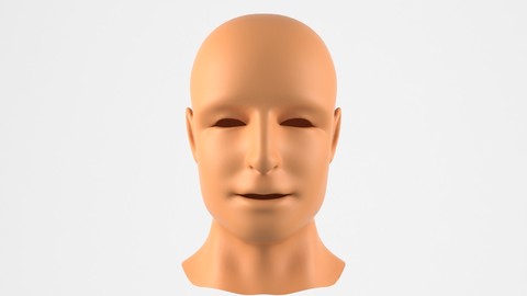Realistic Human Head 3D Model
