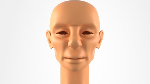Head of a Man 3d Model