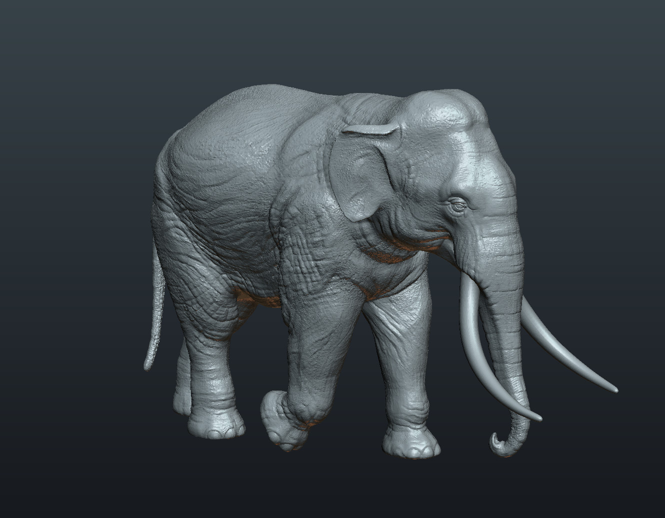 ArtStation - Asian Elephant | Resources