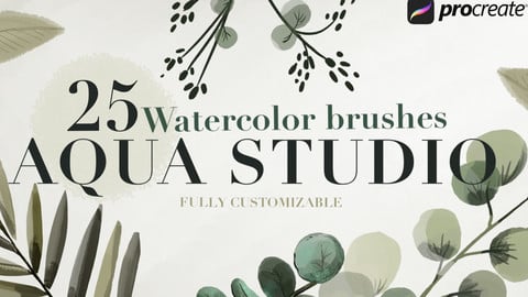 Aqua Studio Watercolor brushes