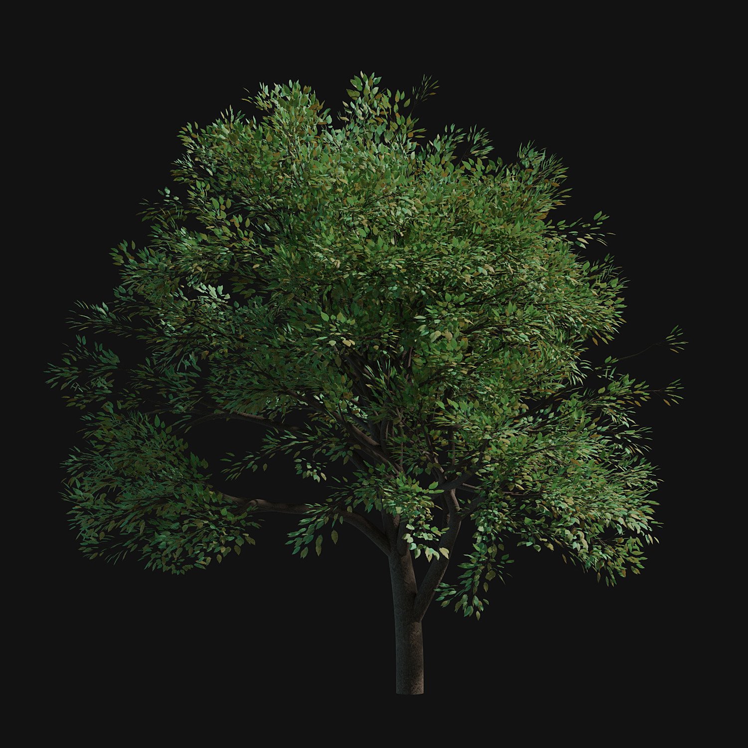 ArtStation - 31 Trees Alpha png | Resources