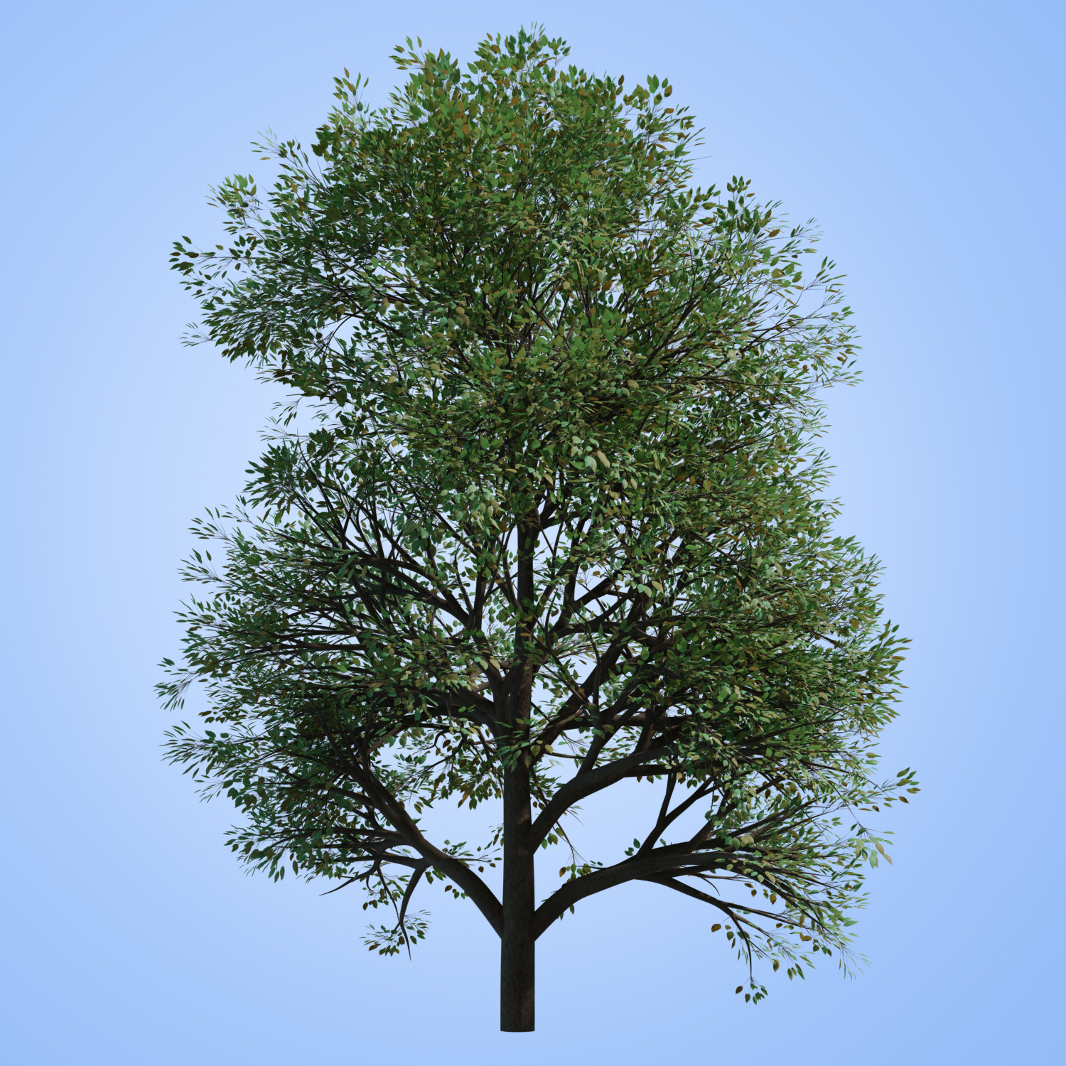ArtStation 31 Trees Alpha png Resources