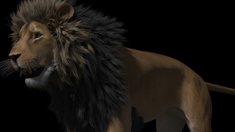 Tobias Lion Maya rig