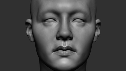 Asian Male Head