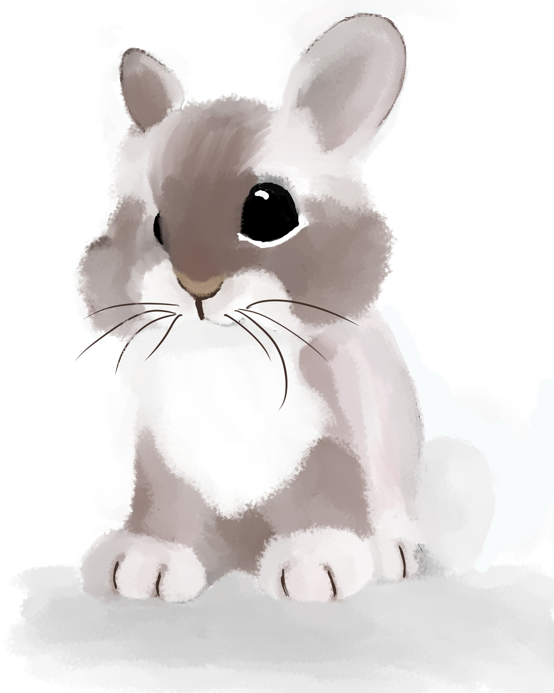 Download Cute Rabbit Drawing. for free | Rabbit drawing, Animal stencil  art, Easy animal drawings
