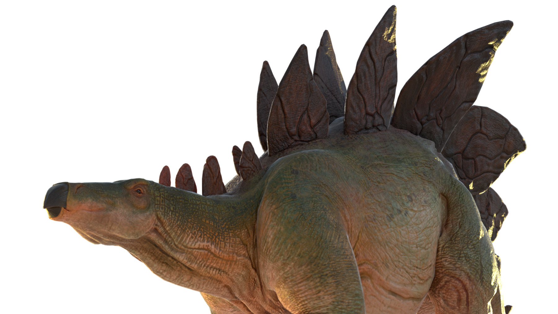 ArtStation - Stegosaurus for your Games or Animations Blender 3D Model ...