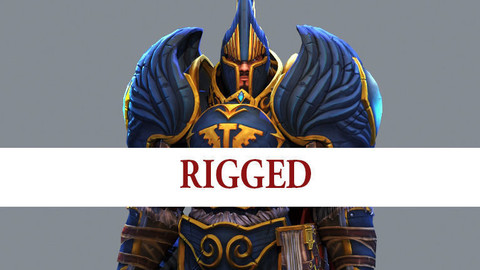 Paladin Low-poly Game model (Rigged)