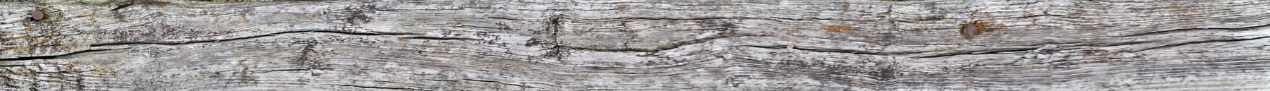 Panoramic Decayed Timber is available for purchase!