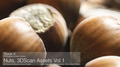 3D Scanned Nuts Vol.1