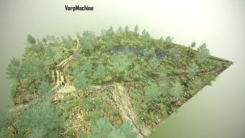3D Forest Map