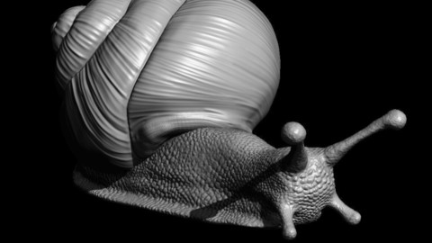 Snail 3D printable 3D print model