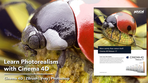 Learn Photorealism with Cinema 4D, Vray4C4D, ZBrush and Photoshop - The Ladybug Journey project