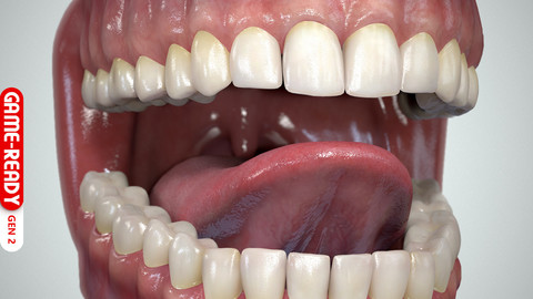 Teeth and Tongue Set