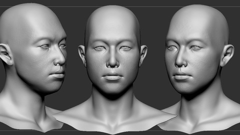 Man Head Base mesh 3D model 3D model