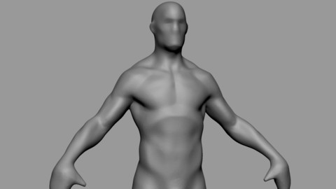 Free Base Male Anatomy