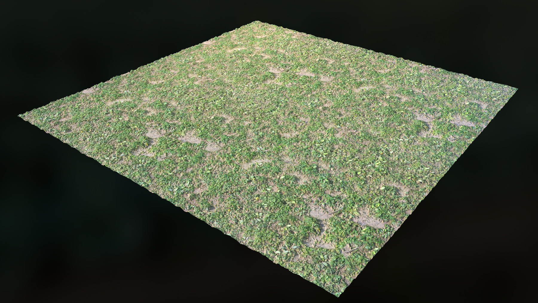 ArtStation - Ground Dirt with Plants | Photogrammetry PBR Textures ...