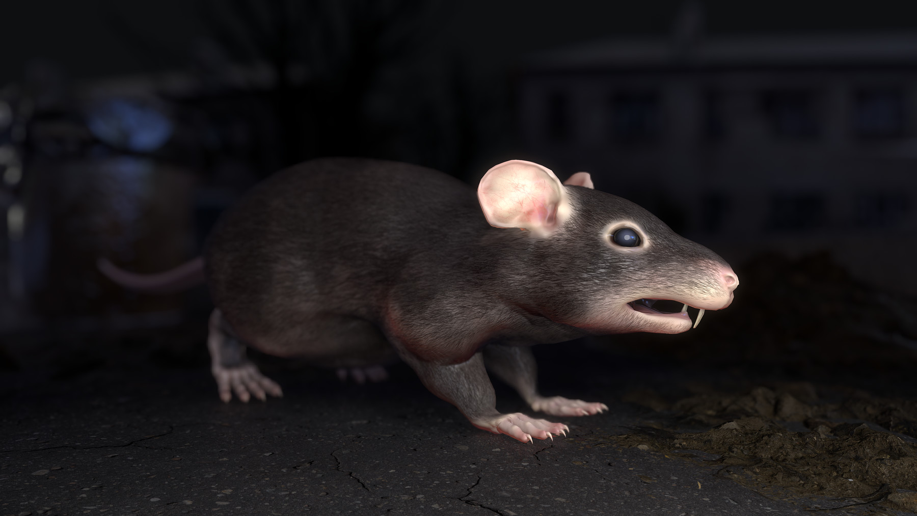 Rat complete. Крыса модель. Три крысы. Rat 3d model. Очень Старая модель крысы.