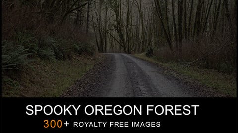 REF PACK SPOOKY OREGON FOREST PHOTO PACK