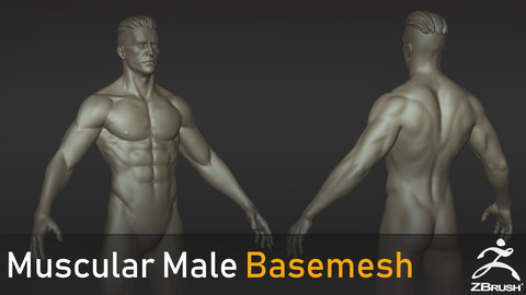 Muscular Male Basemesh