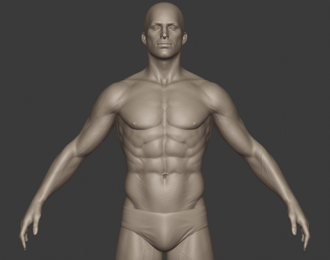 Basic human. Модель человека 2д. Толстяк 3д модель. 3д модели люди без одежды.