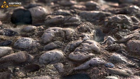 Round Stone Beach Ground - PBR Material