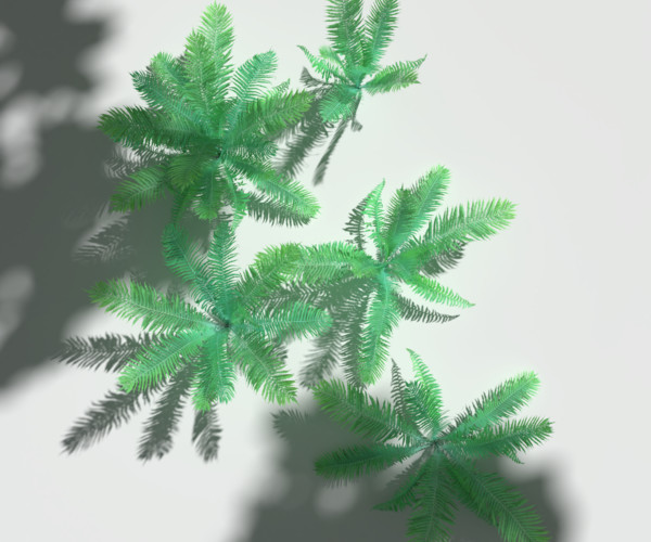 ArtStation - Fern Pack | Resources