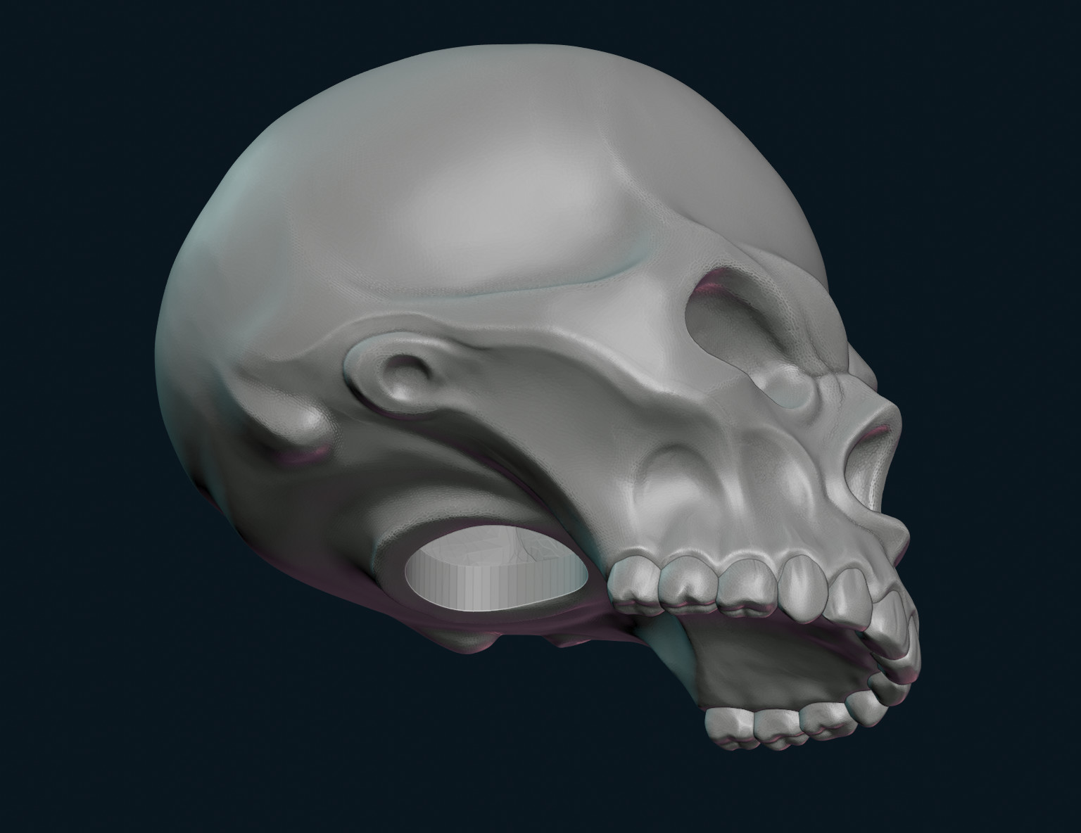 Череп 3д модель. Skull stylized 3d. Череп 3д. Череп 3d модель. Череп человека 3д модель.