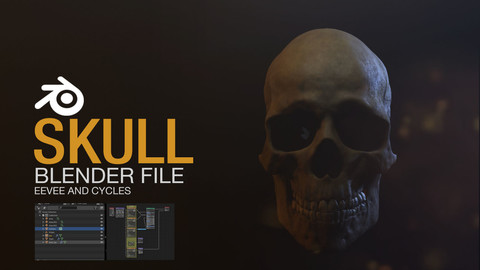 Skull - Blender