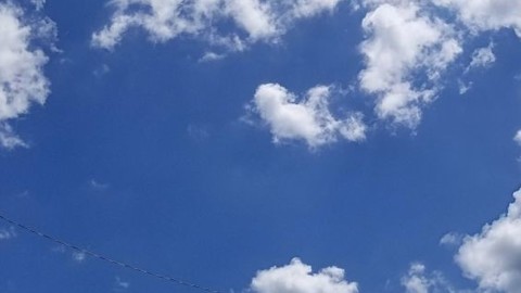 All Over Blue and White