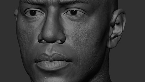 Realistic Male Head African