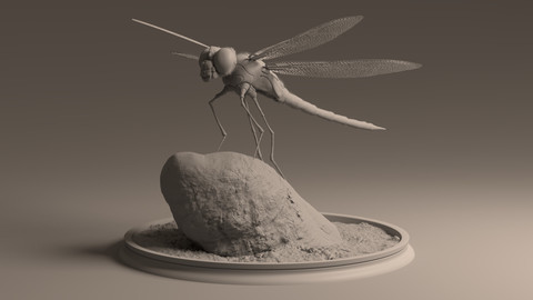 Dragon Fly 3D model