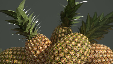 Pineapple Skin Material