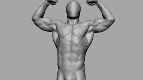 Male Torso 03