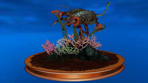 Aquatic Creature Diorama