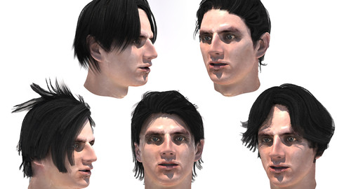 Set men`s hairstyles 5 types