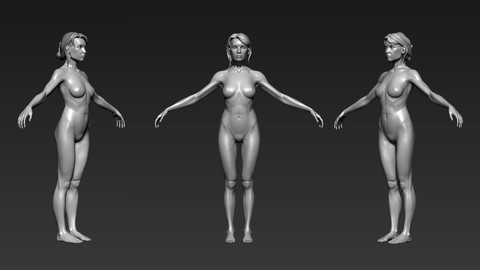 Tall/Slim Female Basemesh