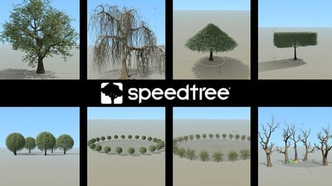 Your first day in SpeedTree